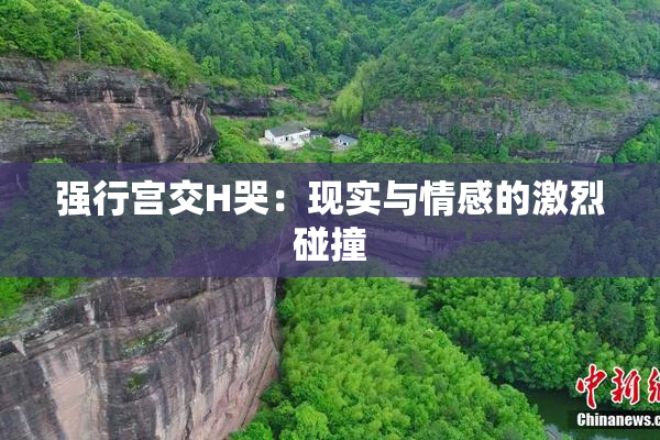 强行宫交H哭：现实与情感的激烈碰撞