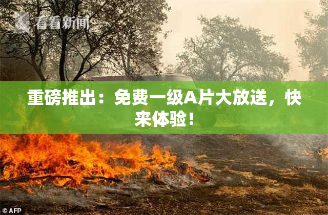 重磅推出：免费一级A片大放送，快来体验！