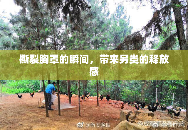 撕裂胸罩的瞬间，带来另类的释放感