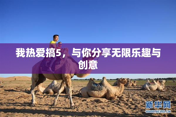 我热爱搞5，与你分享无限乐趣与创意