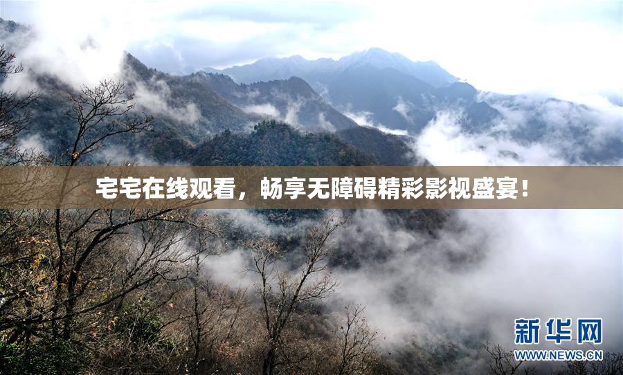宅宅在线观看，畅享无障碍精彩影视盛宴！