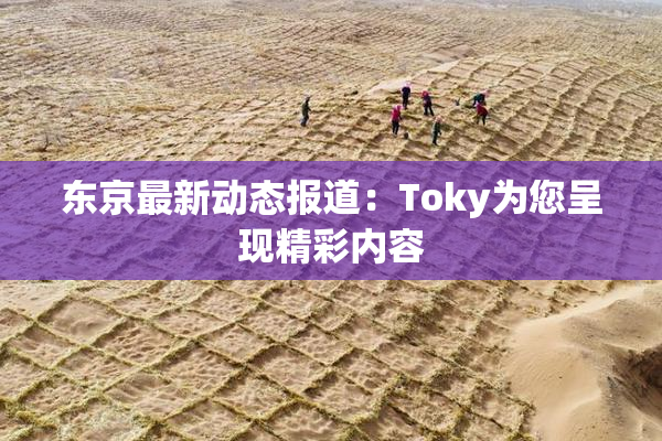 东京最新动态报道：Toky为您呈现精彩内容