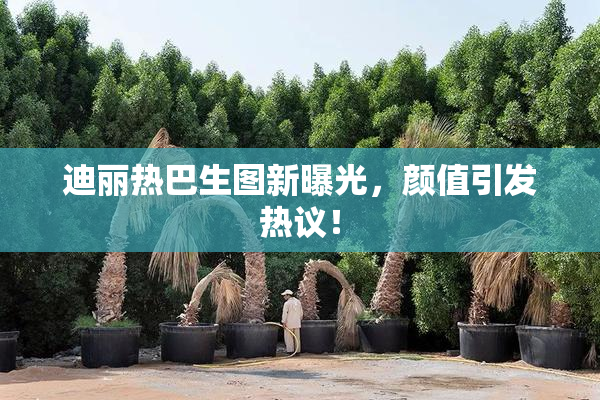 迪丽热巴生图新曝光，颜值引发热议！
