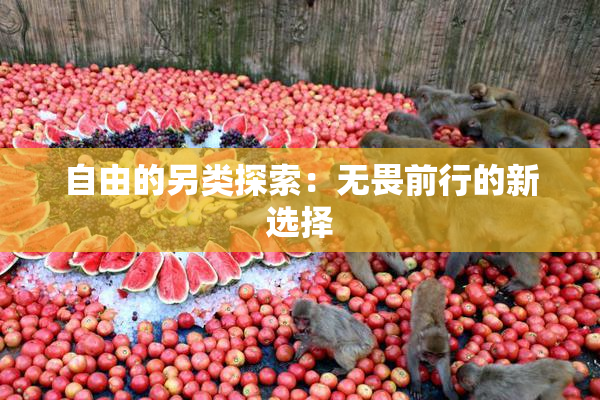 自由的另类探索：无畏前行的新选择