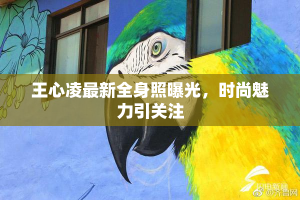 王心凌最新全身照曝光，时尚魅力引关注