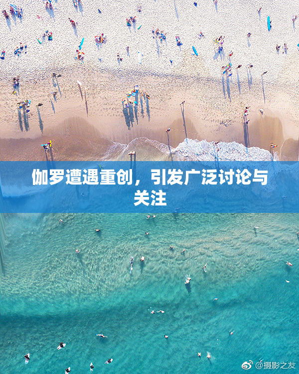 伽罗遭遇重创，引发广泛讨论与关注