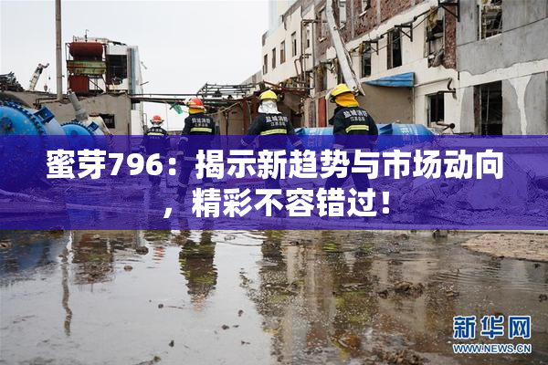 蜜芽796：揭示新趋势与市场动向，精彩不容错过！