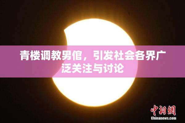 青楼调教男倌，引发社会各界广泛关注与讨论