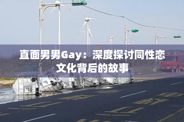 直面男男Gay：深度探讨同性恋文化背后的故事