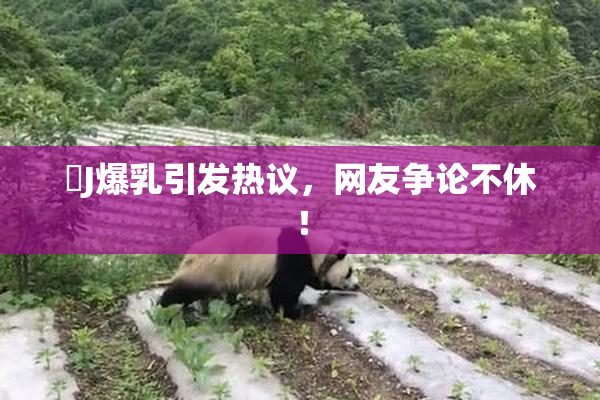強J爆乳引发热议，网友争论不休！
