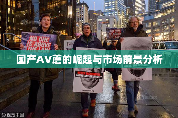 国产AV蘑的崛起与市场前景分析