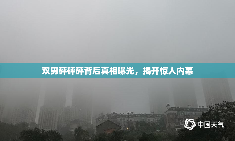 双男砰砰砰背后真相曝光，揭开惊人内幕