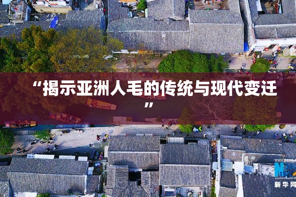 “揭示亚洲人毛的传统与现代变迁”