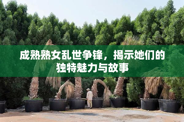 成熟熟女乱世争锋，揭示她们的独特魅力与故事