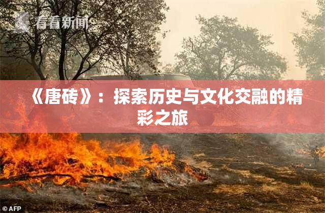 《唐砖》：探索历史与文化交融的精彩之旅
