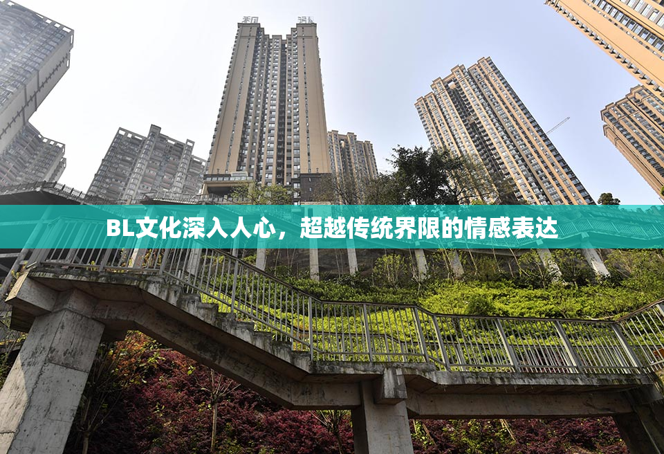 BL文化深入人心，超越传统界限的情感表达
