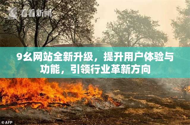9幺网站全新升级，提升用户体验与功能，引领行业革新方向