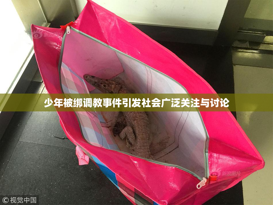 少年被绑调教事件引发社会广泛关注与讨论