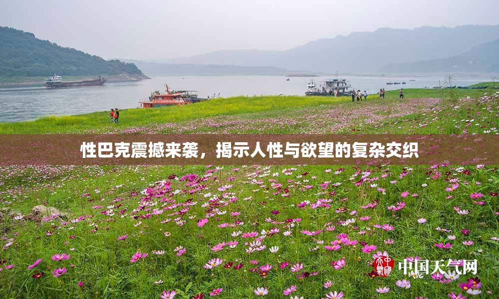 性巴克震撼来袭，揭示人性与欲望的复杂交织