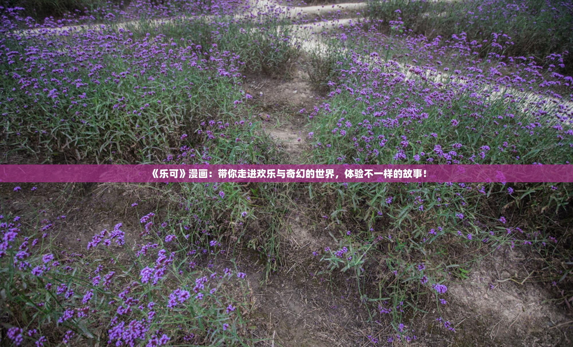 《乐可》漫画：带你走进欢乐与奇幻的世界，体验不一样的故事！