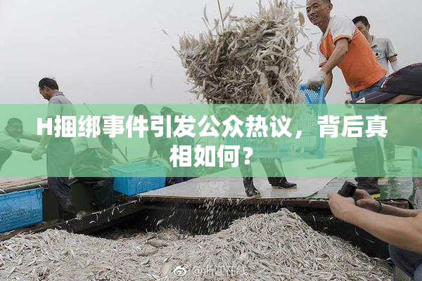 H捆绑事件引发公众热议，背后真相如何？