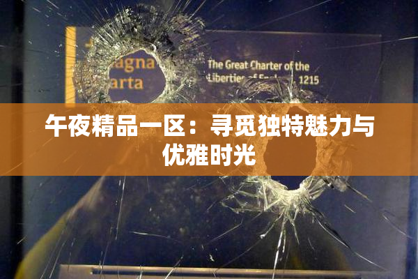 午夜精品一区：寻觅独特魅力与优雅时光