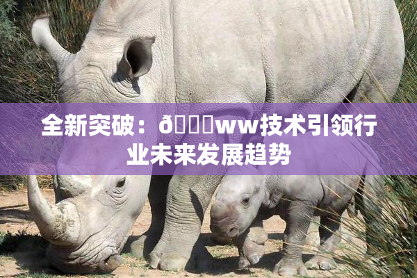 全新突破：🔞ww技术引领行业未来发展趋势