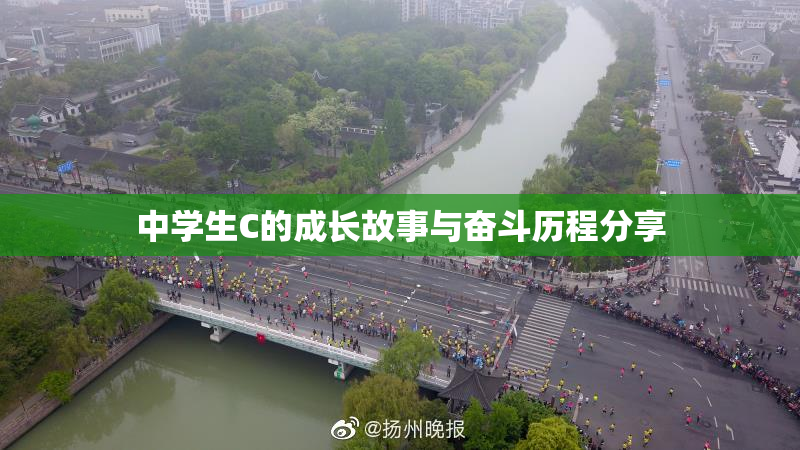 中学生C的成长故事与奋斗历程分享