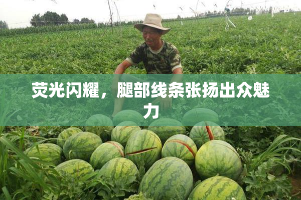 荧光闪耀，腿部线条张扬出众魅力