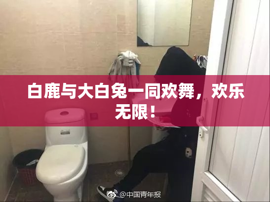 白鹿与大白兔一同欢舞，欢乐无限！