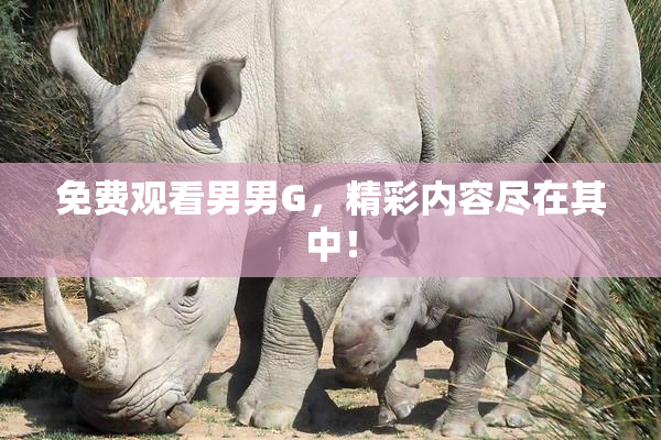 免费观看男男G，精彩内容尽在其中！