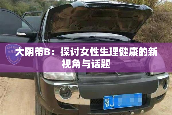 大阴蒂B：探讨女性生理健康的新视角与话题