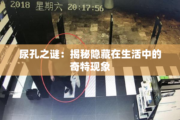 尿孔之谜：揭秘隐藏在生活中的奇特现象