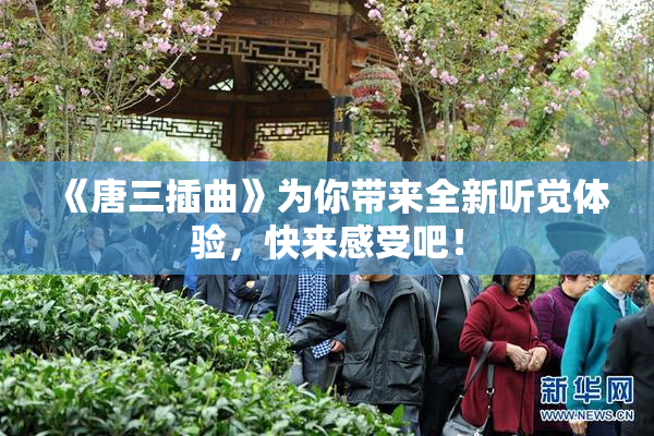 《唐三插曲》为你带来全新听觉体验，快来感受吧！