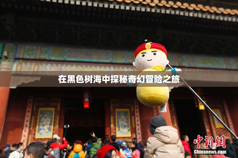 在黑色树海中探秘奇幻冒险之旅