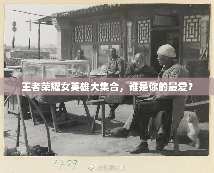 王者荣耀女英雄大集合，谁是你的最爱？