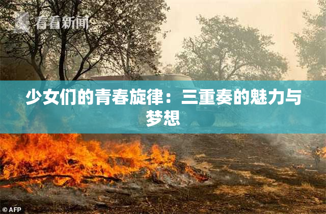 少女们的青春旋律：三重奏的魅力与梦想