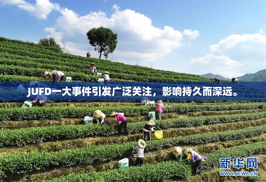 JUFD一大事件引发广泛关注，影响持久而深远。