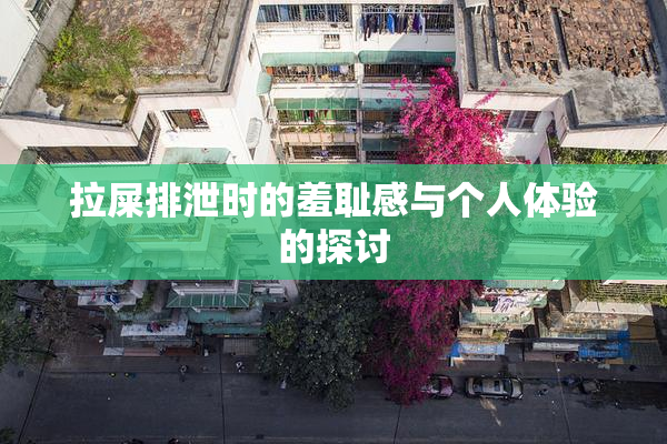 拉屎排泄时的羞耻感与个人体验的探讨