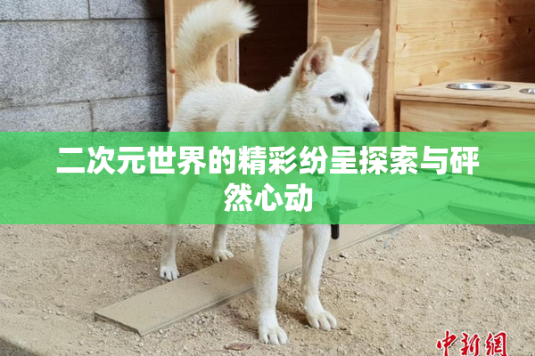 二次元世界的精彩纷呈探索与砰然心动