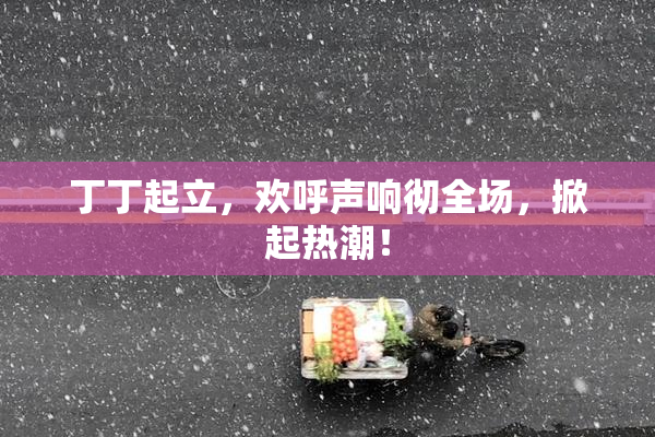 丁丁起立，欢呼声响彻全场，掀起热潮！