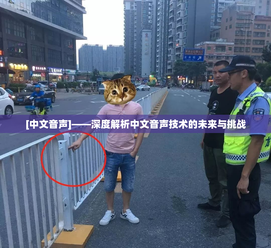 [中文音声]——深度解析中文音声技术的未来与挑战