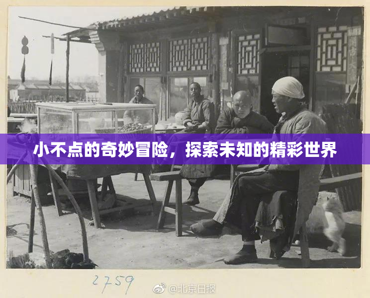 小不点的奇妙冒险，探索未知的精彩世界