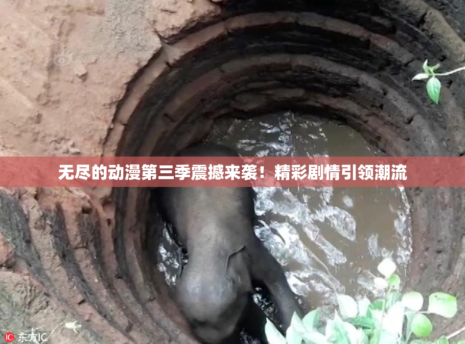 无尽的动漫第三季震撼来袭！精彩剧情引领潮流