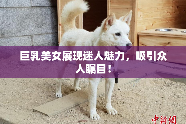 巨乳美女展现迷人魅力，吸引众人瞩目！