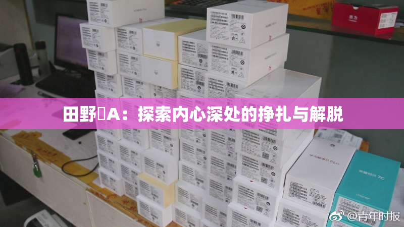 田野憂A：探索内心深处的挣扎与解脱