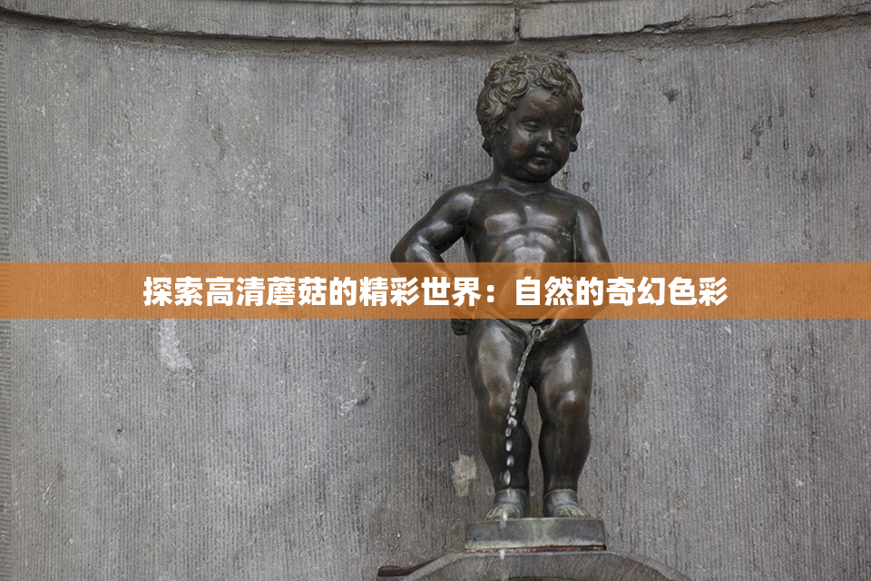 探索高清蘑菇的精彩世界：自然的奇幻色彩