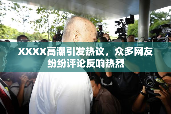 XXXX高潮引发热议，众多网友纷纷评论反响热烈