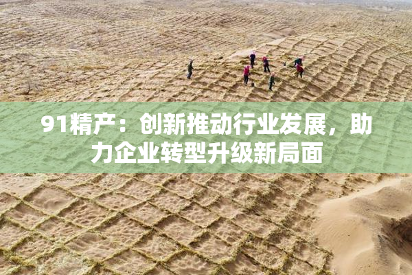 91精产：创新推动行业发展，助力企业转型升级新局面