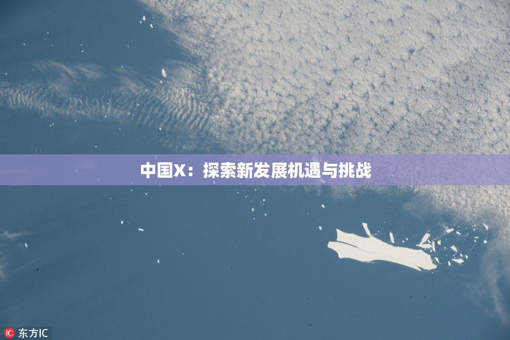 中国X：探索新发展机遇与挑战